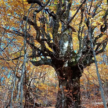 Vila Paramida Savnik Buitenkant foto