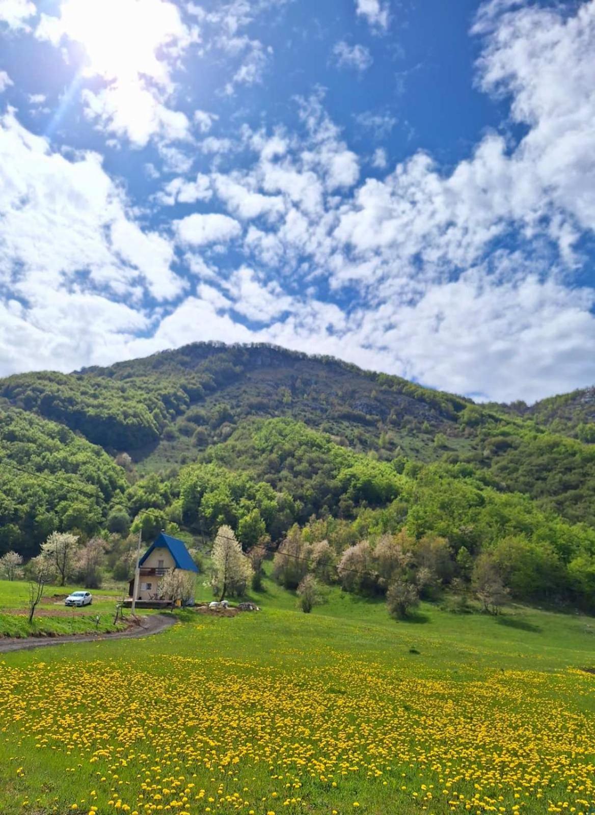 Paramida Vakantiehuis *